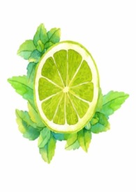 请播放皎皎